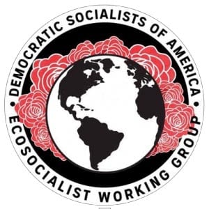 Columbia DSA’s Eco-socialist Working Group’s Statement Regarding the Rise in Gas Prices in the Midlands of SC
